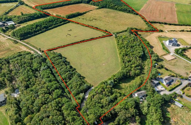 C. 8.78 Hectares (21.70 Acres) At Nicharee, Duncormick, Co. Wexford - Click to view photos