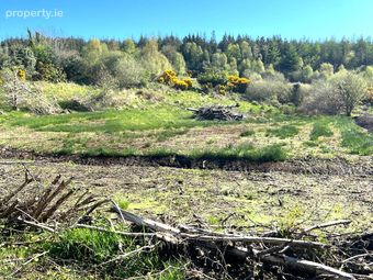 Mullagh, Dromahaire, Co. Leitrim, Dromahair, Co. Leitrim - Image 3