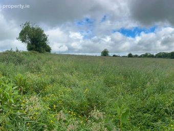 Ranamackan, Tynagh, Loughrea, Co. Galway - Image 3
