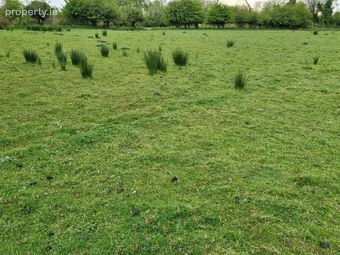 Newgrove, Kilrickle, Loughrea, Co. Galway - Image 2