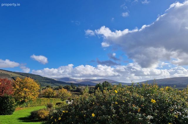 Donard, Donard, Co. Wicklow - Click to view photos