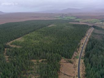 C. 53.3 Acres Of Forestry, Castlehill, Ballycroy, Co. Mayo, Ballycroy, Co. Mayo