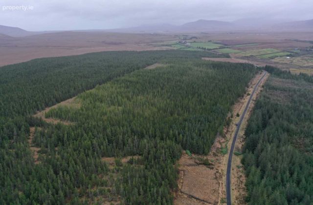 C. 53.3 Acres Of Forestry, Castlehill, Ballycroy, Co. Mayo, Ballycroy, Co. Mayo - Click to view photos