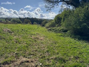 Land C. 29 Acres, Milltown, Dunlavin, Co. Wicklow - Image 3