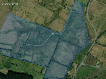 Cottage &amp; 44.52 Acres, Gubaveeney, Blacklion, Co. Cavan - Image 2