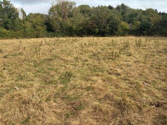 Derelict Residence On Approx. 3.1 Acres, Balbriggan, Co. Dublin, Balrothery, Co. Dublin - Image 4
