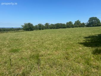 Approx 17 Acres, Moanlahan, Kildinan, Co. Cork, Kildinan, Co. Cork - Image 5