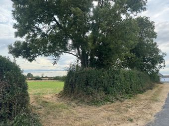 Prime C. 1 Ac Residential Site, Danesfort, Co. Kilkenny - Image 4