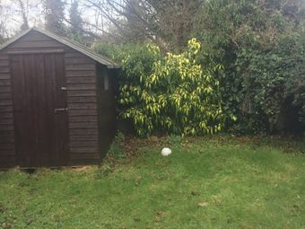 1 The Grove, Beach Avenue, Sandymount, D04V650, Dublin 4 - Image 2