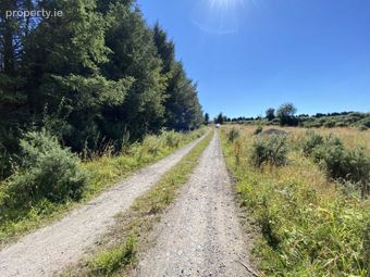 Site At Rossmore, Knockperry, Newcastle, Co. Tipperary, Newcastle, Co. Tipperary - Image 5