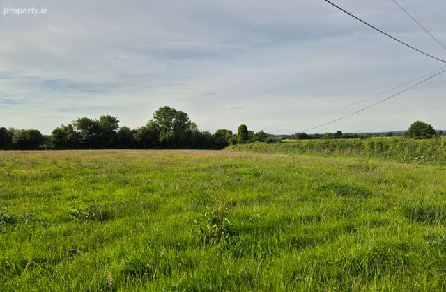 Rosenallis, Rosenallis, Co. Laois - Click to view photos