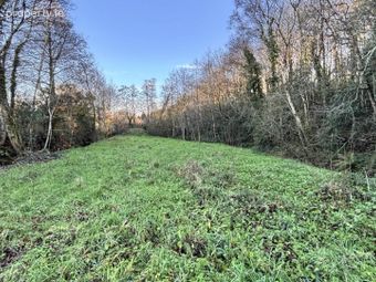 Kiltrea, Enniscorthy, Co. Wexford, Enniscorthy, Co. Wexford - Image 2