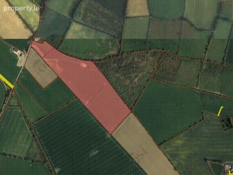 Lands Ballisland, Shillelagh, Co. Wicklow - Image 4