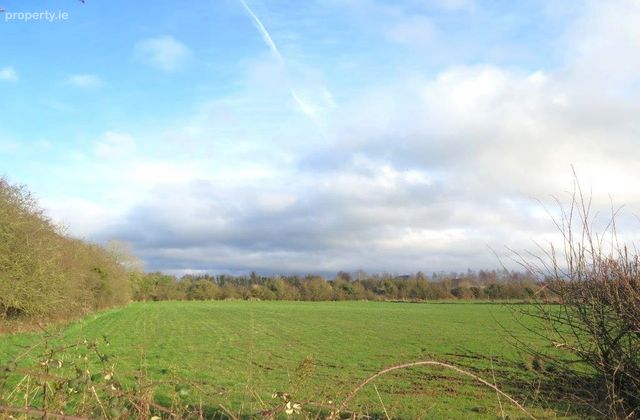 Barnalick, Adare, Co. Limerick - Click to view photos