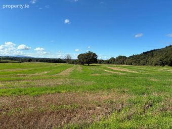 Killurney, E91 T680, Clonmel, Co. Tipperary - Image 5