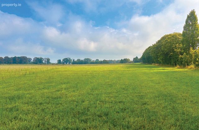 C. 16 Acres, Moorhill, Brannockstown, Naas, Co. Kildare - Click to view photos