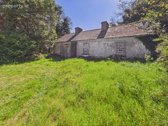 Residence On 21 Acres (approx.) At Carton, Elphin, Co. Roscommon, Elphin, Co. Roscommon - Image 3