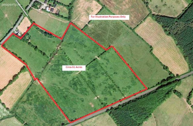 Lands Ballyholahan West, Clanwilliam, Emly, Tipperary, Hospital, Co. Limerick - Click to view photos