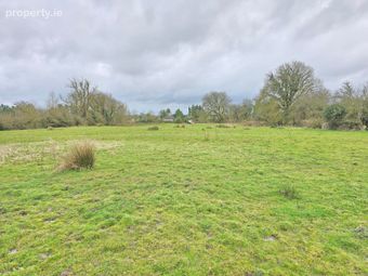 Alloon, Ballymacward, Gurteen, Co. Galway - Image 5