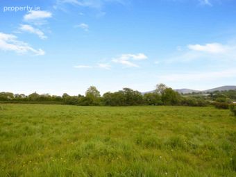 Coolnamara, Borris, Co. Carlow, Borris, Co. Carlow
