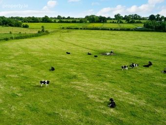 19 Acres, Ballyburly, Rhode, Co. Offaly, Rhode, Co. Offaly - Image 2