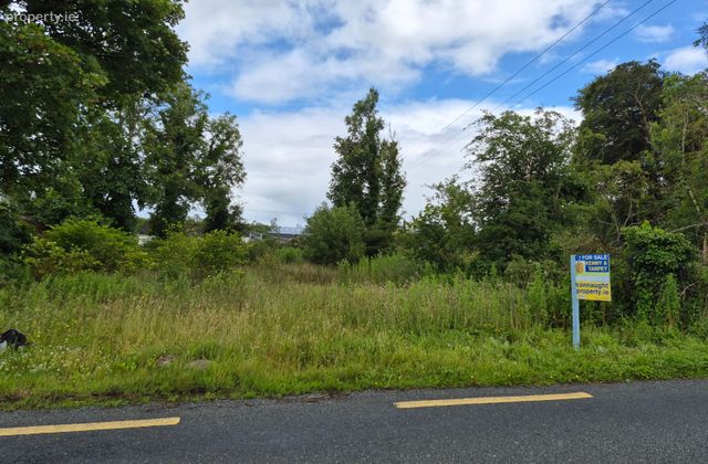 Kilfree, Gurteen, Co. Sligo - Click to view photos