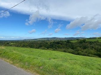 Cliggin, Doon, Co. Limerick - Image 2