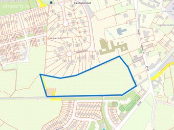 C. 9 Acres Agri Land, Abbey Meadows, Castledermot, Co. Kildare - Image 3