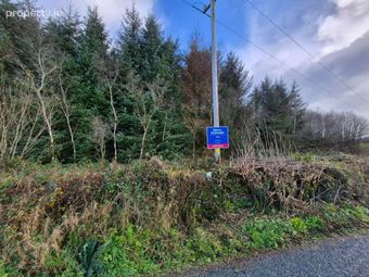27.13 Acres Of Forestry, Stripe North, Milltown, Tuam, Co. Galway, Dunmore, Co. Galway - Image 5