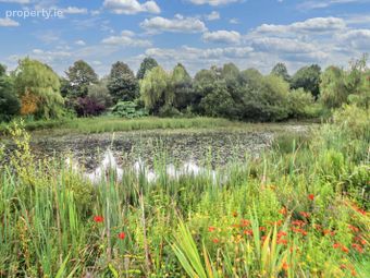 Ballyheefy, Ogonnelloe, Killaloe, Co. Clare - Image 3