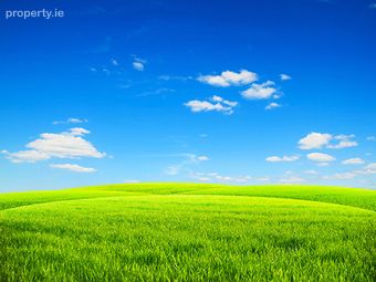 Shammer, Kilkelly, Co. Mayo - Image 3
