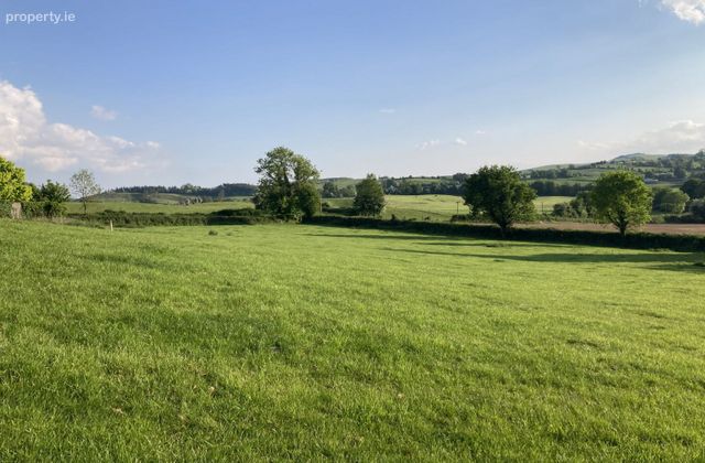 Grangelough, Borrisoleigh, Thurles, Co. Tipperary - Click to view photos