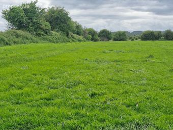 Pollatlugga, Cappataggle, Ballinasloe, Co. Galway, Rooaun, Co. Galway - Image 2