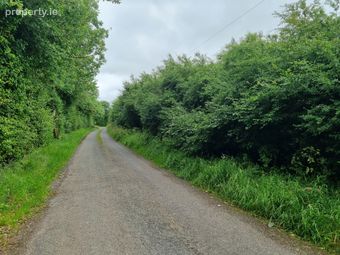 Rathmore North, Meanus, Co. Limerick - Image 2
