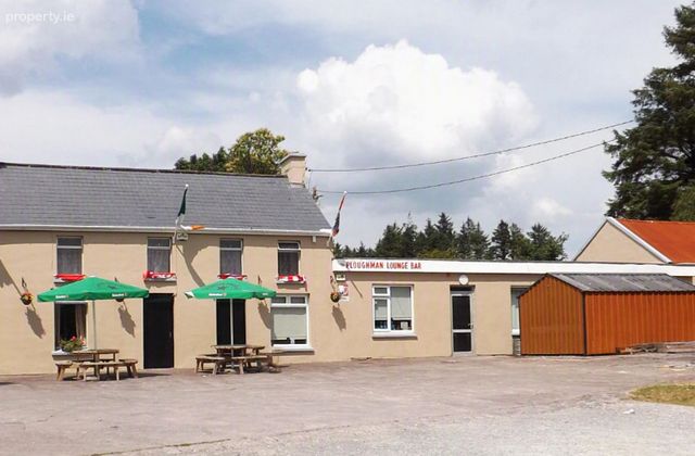 The Ploughman, Ballinagree, Ballynagree, Co. Cork - Click to view photos