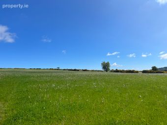 C.39 Acres (15.79ha) Slanelough, Ashford, Co. Wicklow - Image 4