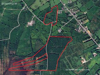 Lands At Corrabawn, Drumlish, Co. Longford