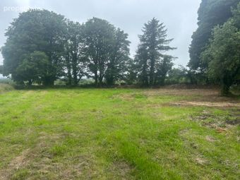 Clooneygrassan, Ballintubber, Ballintubber, Co. Roscommon - Image 4