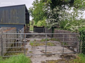 C.1.877 Acres And Shed Moorfield, Williamstown, Co. Galway - Image 4