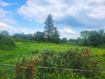 Development Site, Tuamgraney, Co. Clare - Image 2