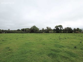 Milestown, Fethard, Co. Tipperary, Fethard, Co. Tipperary - Image 4