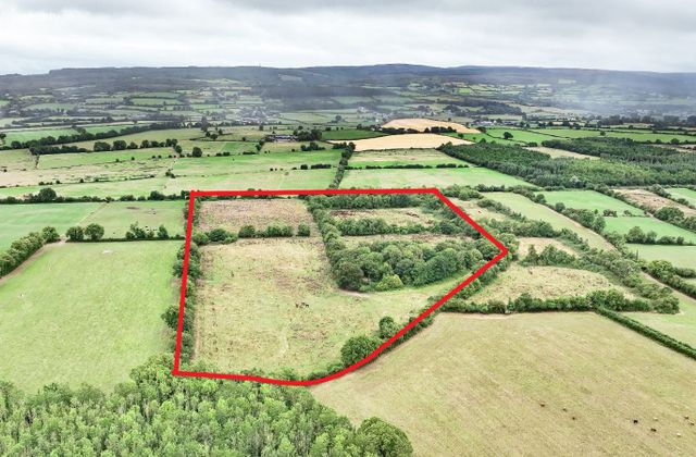 Drummond, Rosenallis, Co. Laois - Click to view photos
