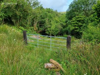 Waterfall &amp; Land, Boho Road, Coolarkin, Enniskillen, Co. Fermanagh, Enniskillen, Co. Fermanagh - Image 4