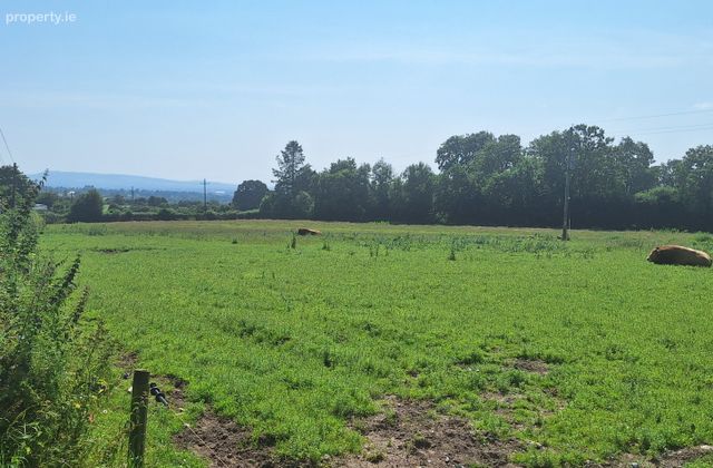 .75 Acre Site, Kilcarrig, Bagenalstown, Co. Carlow, Bagenalstown, Co. Carlow - Click to view photos