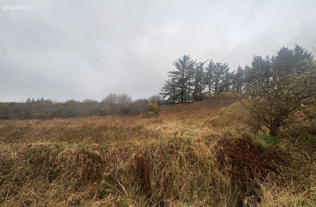 Slievenagry, Kilshanny, Co. Clare - Click to view photos