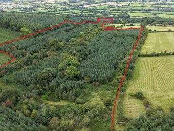 Cappadrummin, Killusty, Fethard, Co. Tipperary, Fethard, Co. Tipperary - Image 2