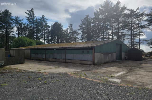 Knockerra, Cooraclare, Kilrush, Co. Clare - Click to view photos