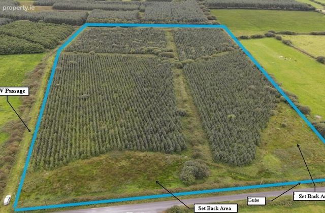 Cloonmore, Doonbeg, Co. Clare, Doonbeg, Co. Clare - Click to view photos