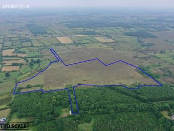 28.05 Acres, Cloontarsna, Castlerea, Co. Roscommon, Loughglynn, Co. Roscommon