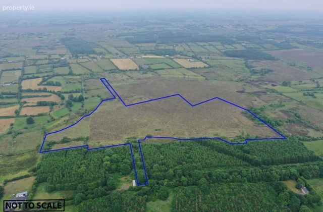 28.05 Acres, Cloontarsna, Castlerea, Co. Roscommon, Loughglynn, Co. Roscommon - Click to view photos